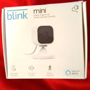 Blink mini security camera